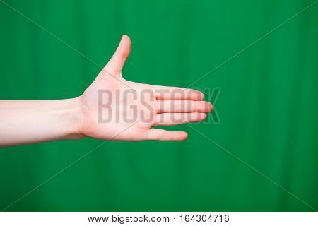 Hand Female Fingers