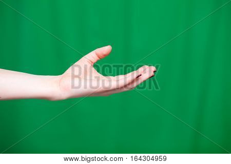 Female Hand Palm