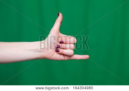 Hand Female Fingers