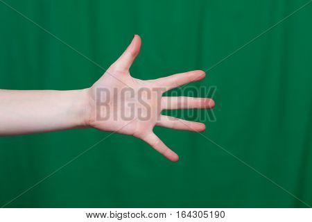 Female Hand Showing Five Fingers