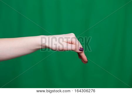 Hand Female Fingers
