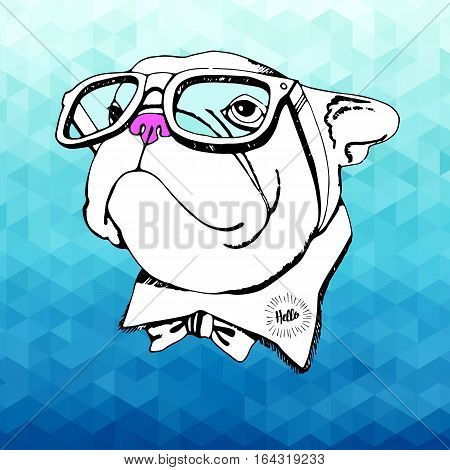 bulldog dog animal french vector illustration pet breed cute drawing puppy