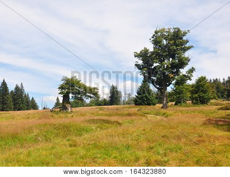 Hochschachten In Bavaria