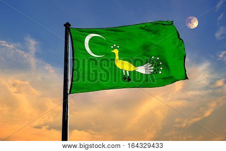 GAZNELILER Flag, GAZNELILER, Flag Design and Presentation