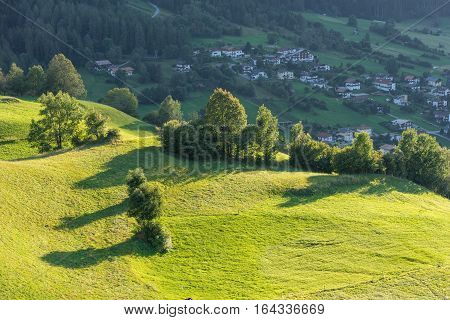 Meadow. Trees shrubs and hilly green grassland in the evening light. Piburger See Taxegg Salzburg Austria Europe