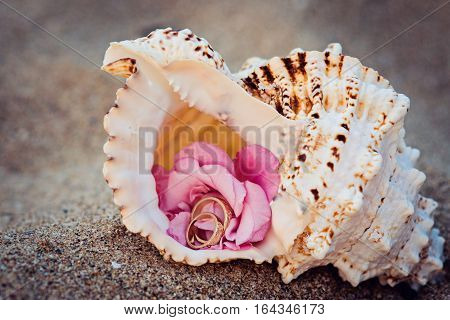 Wedding rings in seashore with rose in it