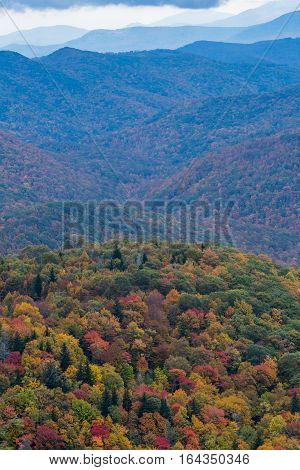 Changing Leaves And Rolling Mountains