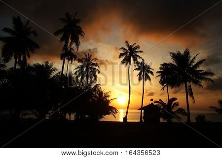 Coconut beach sunrise at Ang Thong island,Thailand.
