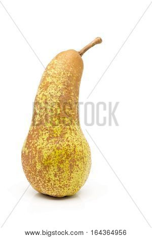Single whole uncut 
