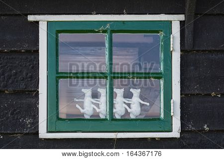 Four dancing cows behind the window of an old house.