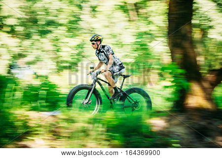 GOMEL, BELARUS - JUNE 7, 2015: Mountain Bike cyclist riding track on fat tire bike at sunny day