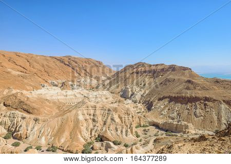 Landscape of mountain desset Negev and Dead sea on the background Israel