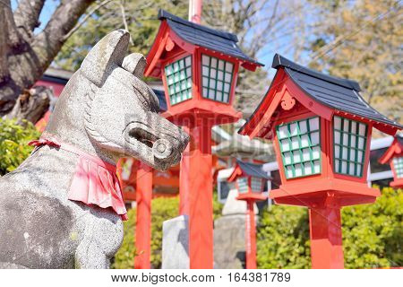 Stone statue divine messenger fox and red lanterns in Inuyama Japan