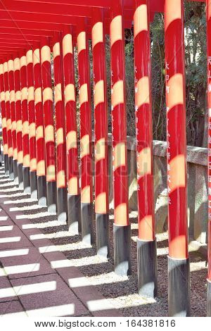 Row of red torii gates in sunshine at Inuyama Japan