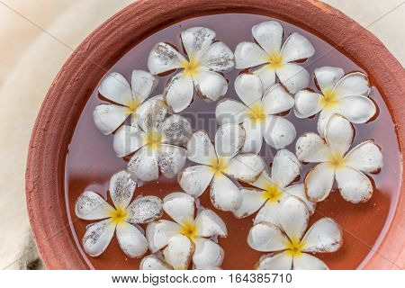 Sri Lanka: Araliya flower, temple tree in the water, traditional decoration in local restaurants
