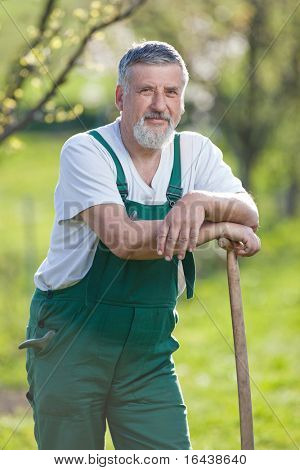 Ritratto di un uomo anziano bello giardinaggio nel suo giardino (immagine a colori dai toni)