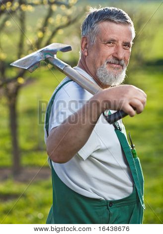 Ritratto di un uomo anziano bello giardinaggio nel suo giardino (immagine a colori dai toni)