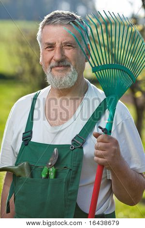Ritratto di un uomo anziano bello giardinaggio nel suo giardino (immagine a colori dai toni)