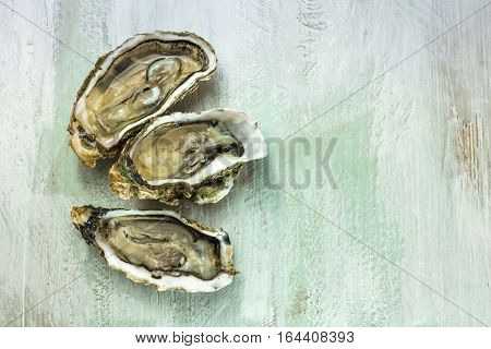 A photo of freshly opened oysters on a wooden background texture with copyspace