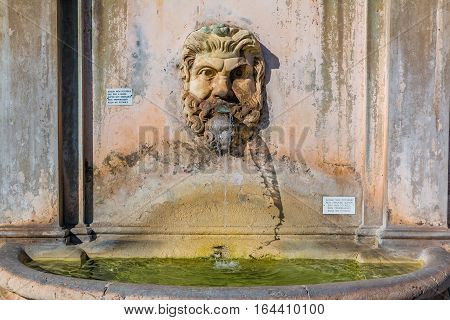 Fontana Della Pigna Or Pinecone Fountain At The Vatican Museums