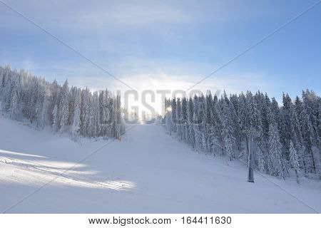 Mountain ski resort RomaniaTransylvania Brasov Poiana Brasov