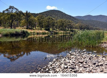 Australian Snowy Mountains in summer. Snowy River scenery in the Alpine National Park.