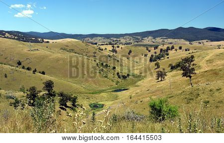 Broad panorama of the countryside in North Gippsland Victoria with green field in foreground. Grassy hills in Australia.