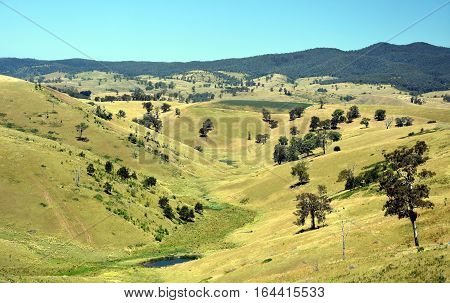 Broad panorama of the countryside in North Gippsland Victoria with green field in foreground. Grassy hills in Australia.