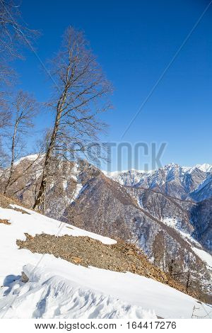 mountains in the snow in Gabala Azerbaijan