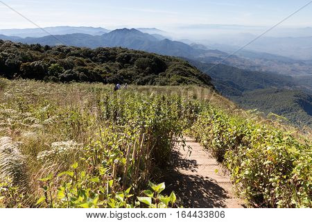 Traveler Trekking At Kew Mae Pan Nature Trail (doi Inthanon National Park) In Winter Season In Chian