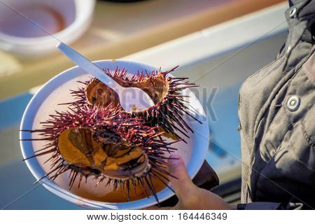 Sea urchins are a class of marine animals that live on the seabed or burrow into the sand.Scientific name: Echinoidea
