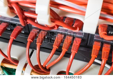 Red network patch cord cables connected to switch patch panel in data center. Internet technology background