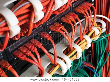 Red yellow and green network patch cord cables connected to switch patch panel in data center. Internet technology background