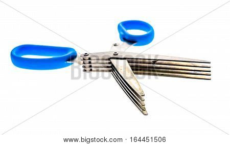 Herb And Spice Scissors With Comb On A White Background.