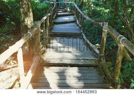 Rain Forest Walk Way In Ang Ka Nature Trail Located In Doi Inthanon National Park, The Highest Peak