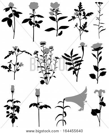 Collection of silhouettes of different species of flowers