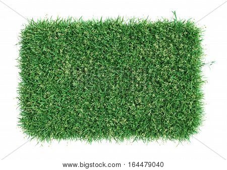Green grass field. Symbol of natural and eco. Meadow template for design. 3D illustration