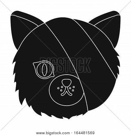 Sick cat with bandage on a head icon in black design isolated on white background. Veterinary clinic symbol stock vector illustration.