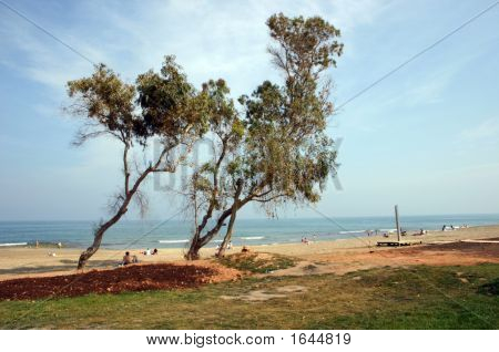 Oropesa Beach