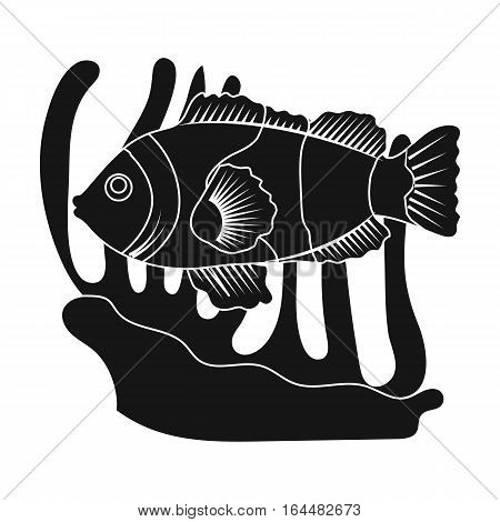 Clownfish and anemone icon in black design isolated on white background. Australia symbol stock vector illustration.