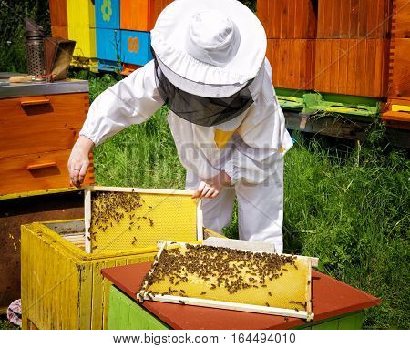 Woman beekeper in white suit with bees