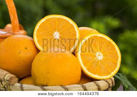 Sweet Fresh Oranges In Natural Light On Old Wood