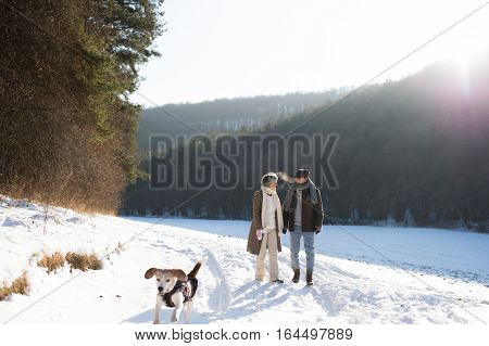 Beautiful senior woman and man on a walk with their dog in sunny winter nature.
