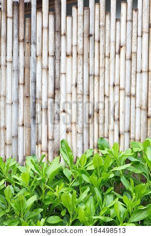 Brown bamboo wood fence pattern and background
