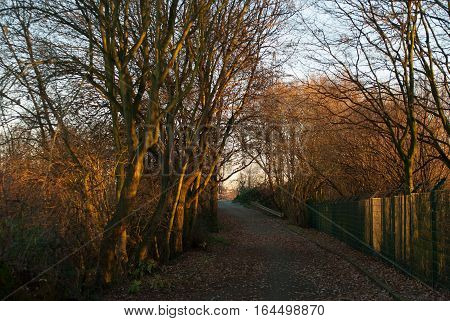Path towards a small train track crossing during autumn in Bochum