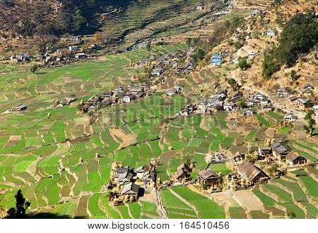 Dogadi village with terraced rice or paddy field - beautiful village in Western Nepal