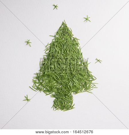 Green tree of the needles on a white background