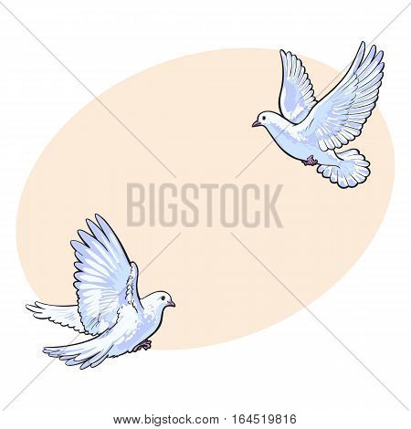 Two free flying white doves, sketch vector illustration isolated on background with place for text. Realistic hand drawn couple of white doves, pigeons flapping wings, symbol of love and romance, marriage icon