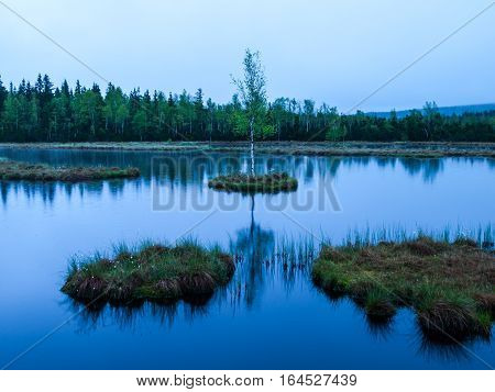 Evening time at Chalupska Moor Lake near Borova Lada, Sumava Mountains, Czech Republic, Europe. Small islands with trees in the middle of peat-bog.