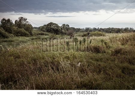 Rural landscape during hunting season with hunters in tall grass in rural field with dramatic sky during dusk